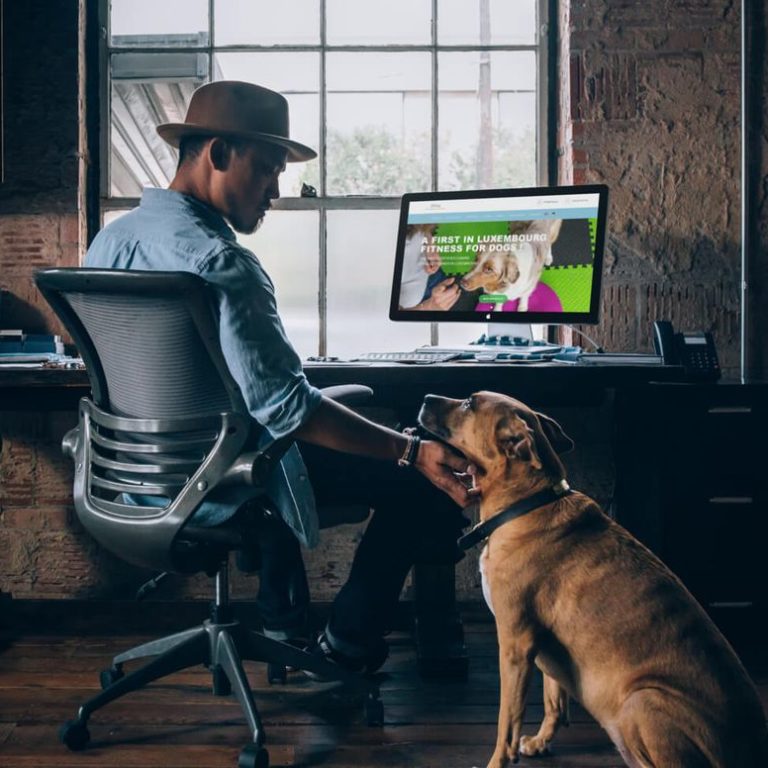 creation site internet fitdog par creatifweb