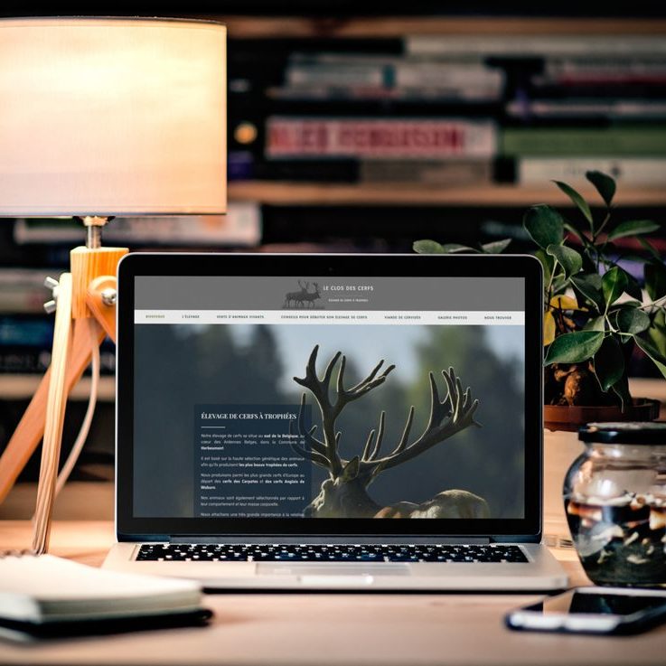 Creatifweb conception site le clos des cerfs