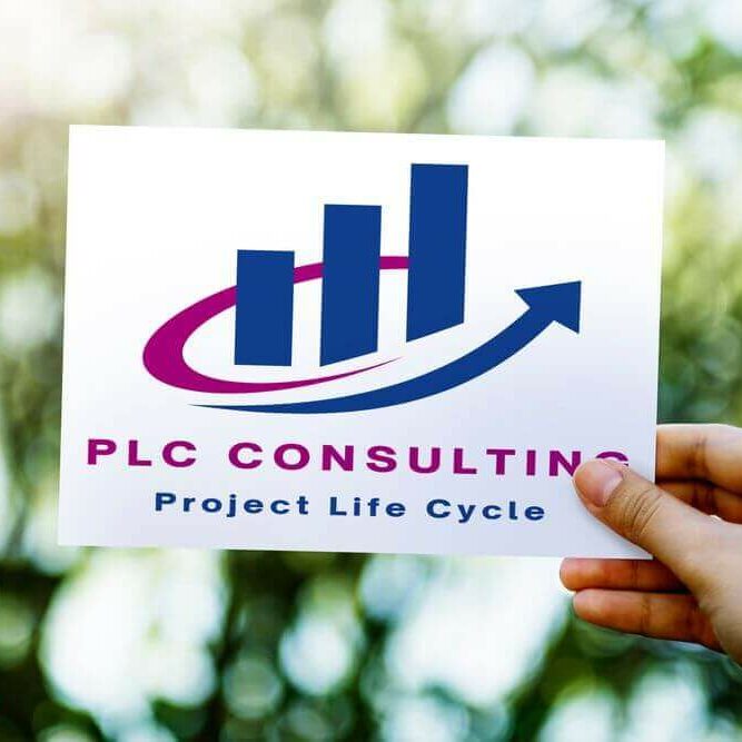 Creation logo PLC consulting par Creatifweb