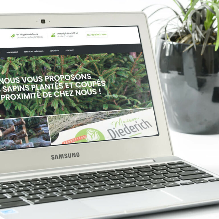 Creation site Maison Diederich pépinière Neufchateau